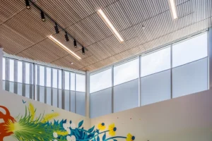 Modern architectural finish film transforming a commercial building facade in Sharjah
